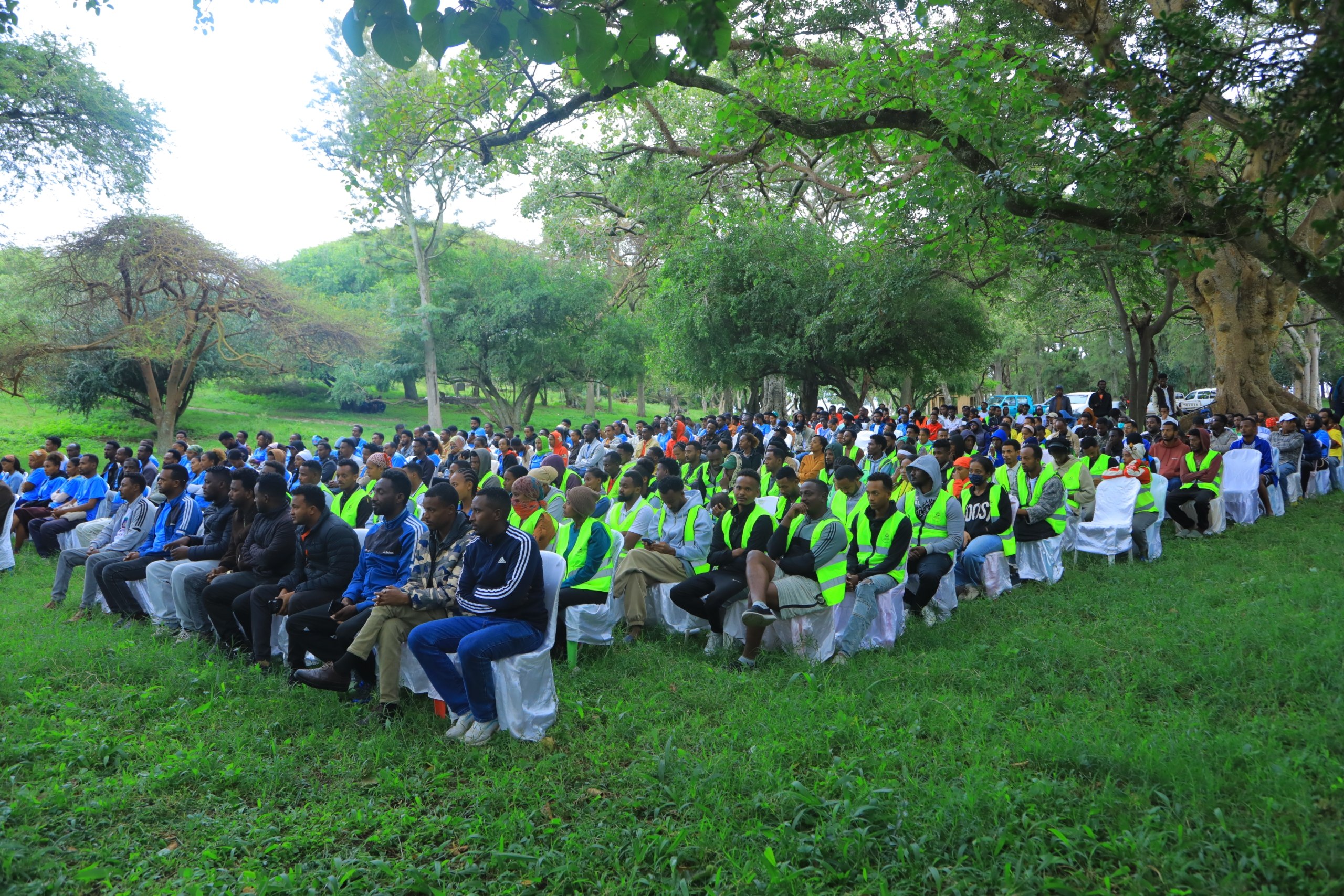 Youth volunteers gathered under large trees at the Green Legacy event in Hawassa
